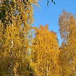 Sporthome Dom wakacyjny Rovaniemi