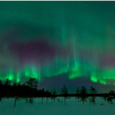 Sporthome Rovaniemi