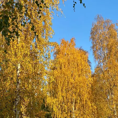 Sporthome Vakantiehuis Rovaniemi