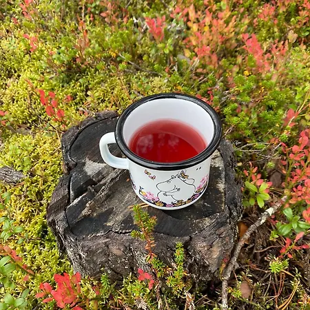 Sporthome Ferienhaus