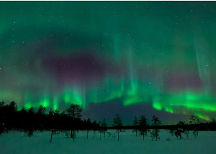 Sporthome 로바니에미