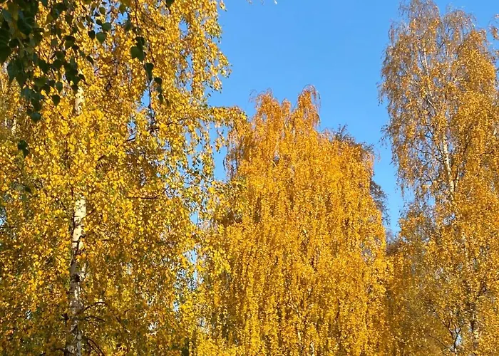 Sporthome Holiday home Rovaniemi